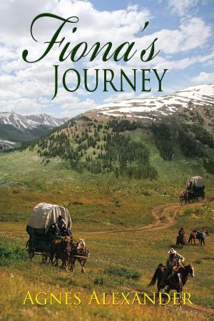 Cover of the book Fiona's Journey by Mike Peskar