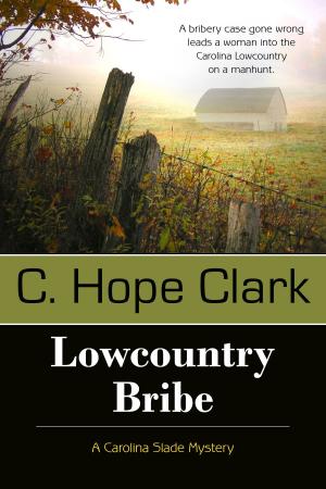 Cover of the book Lowcountry Bribe by Angela M. Sanders