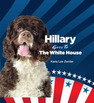 Cover of the book Hillary Goes to the White House by Jack Grubbs