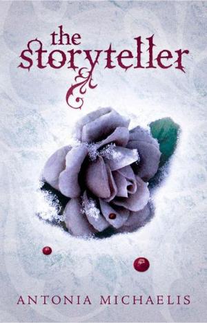 Cover of the book The Storyteller by Rachel Federman