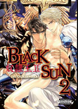 Cover of the book Black Sun by Tsubaki Enomoto