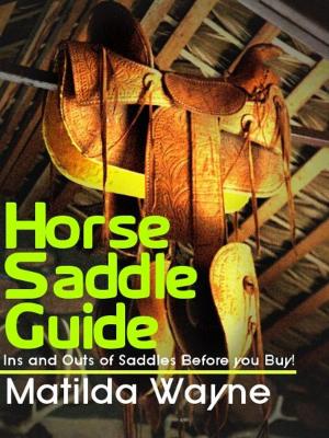 Cover of the book Horse Saddle Guide: Ins and Outs of Saddles Before you Buy! by Kris Maher