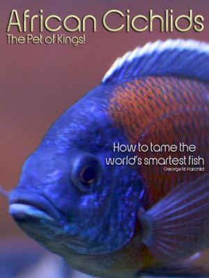 Cover of the book African Cichlids The Pet of Kings!: How to tame the world's smartest fish. by Lewis Latimour