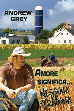Cover of the book Amore significa… nessuna vergogna by Amy Spector