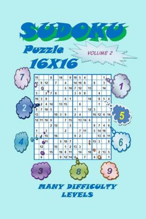 Cover of Sudoku Puzzle 16X16, Volume 2