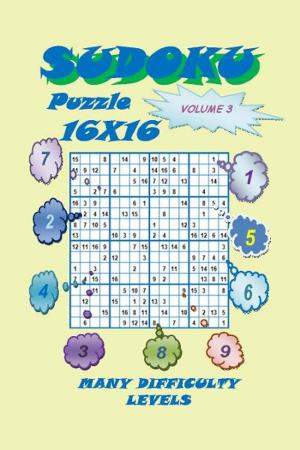 Cover of Sudoku Puzzle 16X16, Volume 3