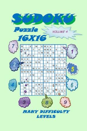 Book cover of Sudoku Puzzle 16X16, Volume 4