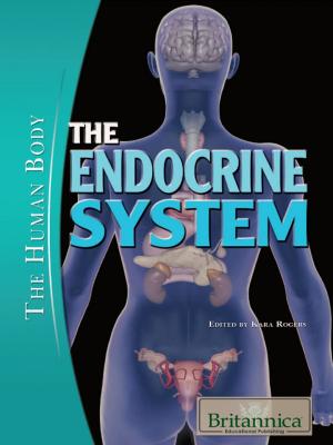 Cover of the book The Endocrine System by Concrete Language Books