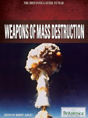 Cover of the book Weapons of Mass Destruction by Amelie von Zumbusch