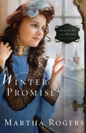 Cover of the book Winter Promise by Delores Fossen