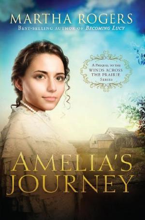 Cover of the book Amelia's Journey by Mercy Lokulutu