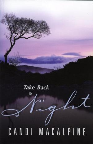 Cover of the book Take Back The Night by Jonathan Cahn