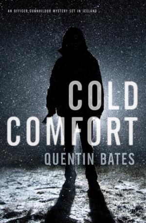 Cover of the book Cold Comfort by Mick Herron