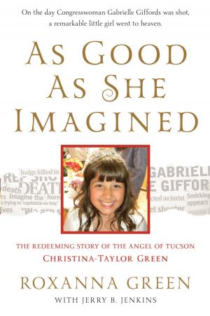 Cover of the book As Good as She Imagined by Nancy Herriman