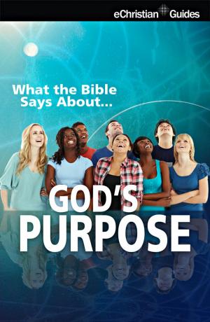 Cover of What the Bible Says About God's Purpose