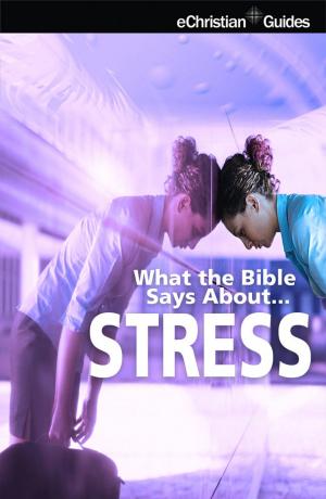 Cover of the book What the Bible Says About Stress by James Stuart Bell, James Dyet