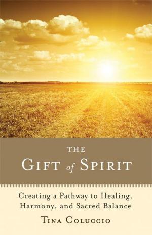 Book cover of The Gift of Spirit: Creating a Pathway to Healing, Harmony, and Sacred Balance