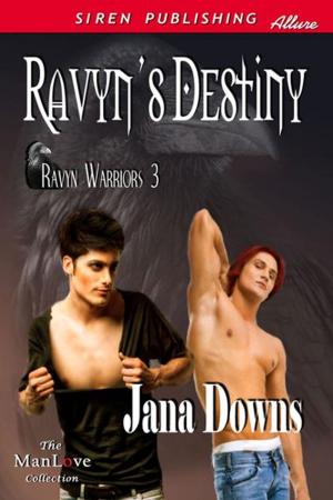 Cover of the book Ravyn's Destiny by Glenn, Stormy
