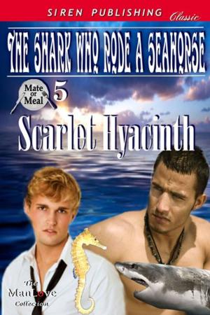 Cover of the book The Shark Who Rode a Seahorse by Kimberly Duncan