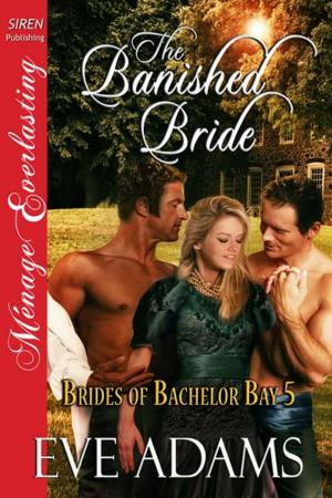 Cover of the book The Banished Bride by Becca Van