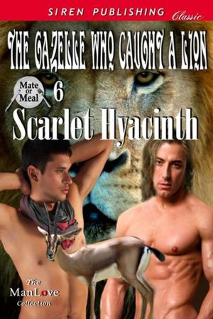 Cover of the book The Gazelle Who Caught a Lion by Christelle Mirin