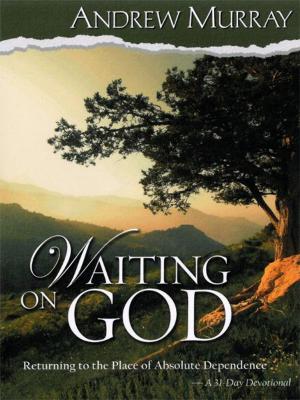 Cover of the book Waiting on God by Dr. Mary Buddemeyer-Porter