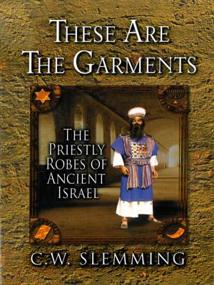 Cover of the book These Are the Garments by John Kitchen