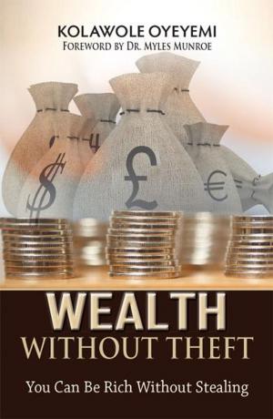 Book cover of Wealth Without Theft