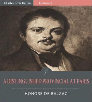 bigCover of the book A Distinguished Provincial at Paris (Illustrated Edition) by 