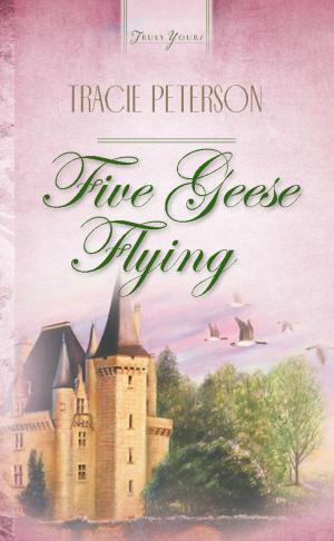 Cover of the book Five Geese Flying by Lauralee Bliss, Ramona K. Cecil, Dianne Christner, Melanie Dobson, Jerry S. Eicher, Olivia Newport, Rachael O. Phillips, Claire Sanders, Anna Schmidt