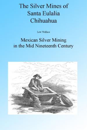 Book cover of The Silver Mines of Santa Eulalia Chihuahua, Illustrated.