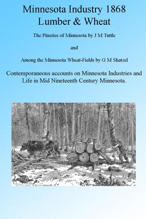 Book cover of Minnesota Industry 1868: Wheat and Lumber, Illustrated