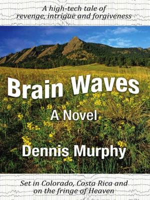 Cover of the book Brain Waves by Erin Cronin-Webb