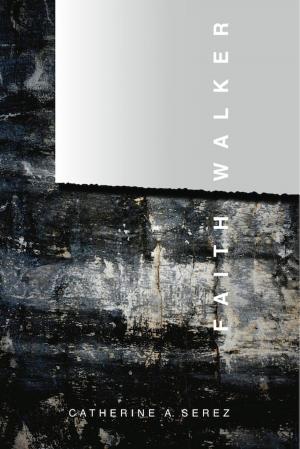 Cover of the book Faith Walker by Richard S. Stripp, Sr.