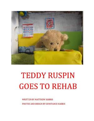 Book cover of Teddy Ruspin Goes To Rehab