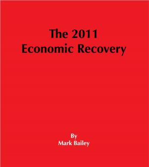 Cover of the book The 2011 Economic Recovery by Tony Eyre