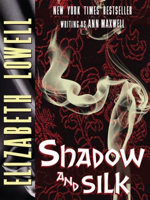 Book cover of Shadow and Silk