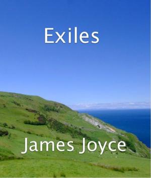 Cover of the book Exiles by David Baker