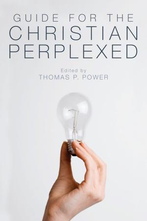 Cover of the book Guide for the Christian Perplexed by Jessica Hooten Wilson