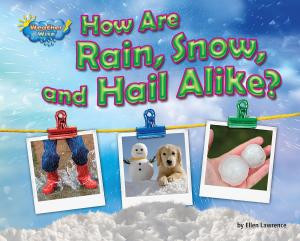 Cover of the book How Are Rain, Snow, and Hail Alike? by Kevin Blake