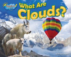 Cover of the book What Are Clouds? by Joyce Markovics