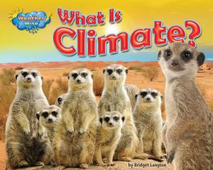Cover of the book What Is Climate? by Meish Goldish