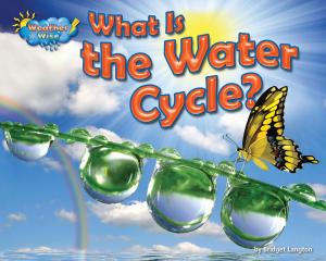 Cover of the book What Is the Water Cycle? by Miriam Aronin