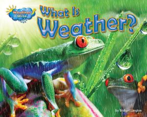 bigCover of the book What Is Weather? by 
