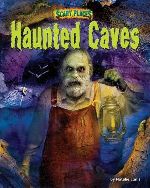 Cover of the book Haunted Caves by Meish Goldish