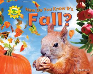 Cover of the book How Do You Know It’s Fall? by Dee Reid