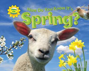 bigCover of the book How Do You Know It’s Spring? by 