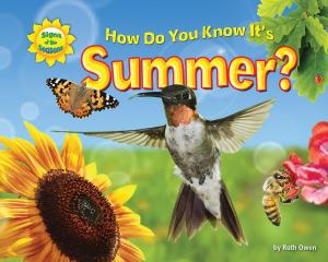 Cover of the book How Do You Know It’s Summer? by Michael Teitelbaum