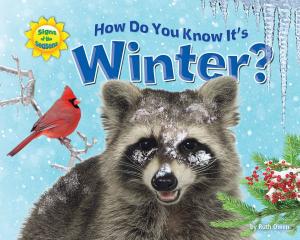 Cover of the book How Do You Know It’s Winter? by Dinah Williams