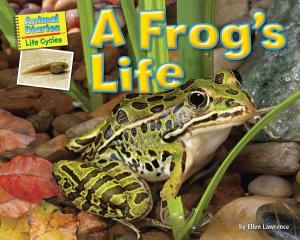 Cover of the book A Frog's Life by Natalie Lunis